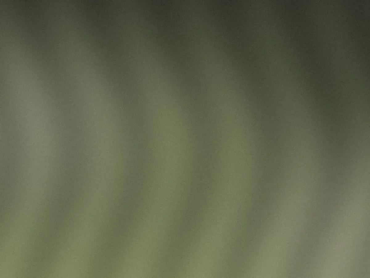 Visuel provisoire : la photo de cette formule sera ajout&eacute;e prochainement